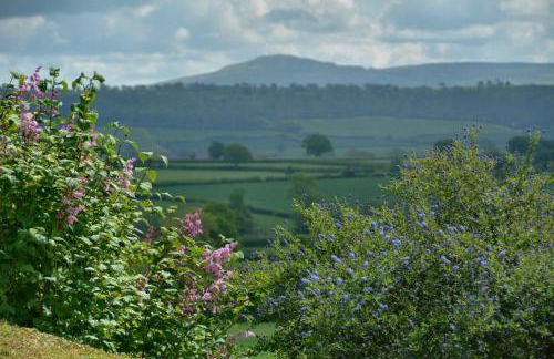 Upper Onibury Cottages - Foto 26