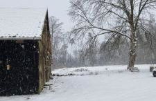 The Cottages - Pet Friendly - Photo 9