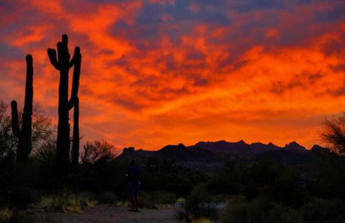 Kimberly Surprise - Foto 83