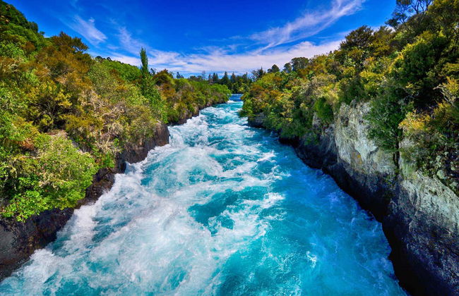 Excursion dans la vallée de Huon et aux grottes d'Hastings - Photo 2