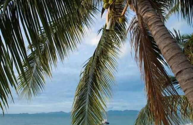 Sam-kah Karibu Beach House - Photo 18