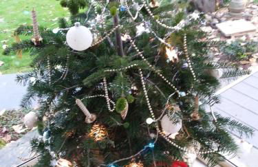 Gîte Tuyaret - Foto 16