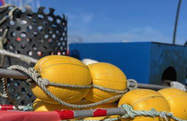 Ty Rosc'OFF, Plain-pied de charme, tout récent, à proximité immédiate du centre de Roscoff - Foto 22