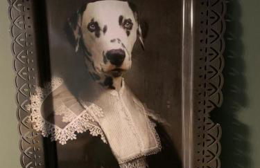 Boutique Bath apartment with 2 beautiful bedrooms - Photo 24