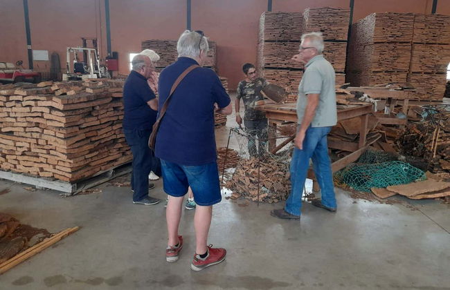 Visita a una fabbrica di sughero - Foto 5