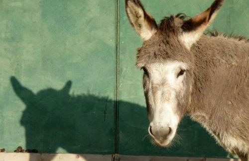 Luxurious private 100sqm studio with infinity pool - Foto 16