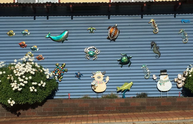 Tasman Holiday Parks - Albany - Foto 68