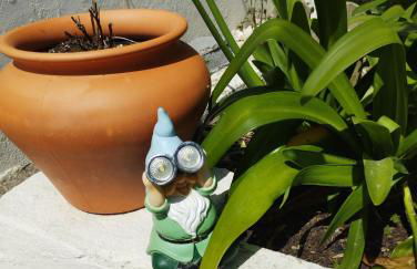 Sunset House - Foto 75