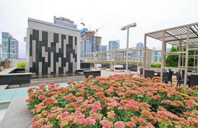 Bluejaysway - Foto 18