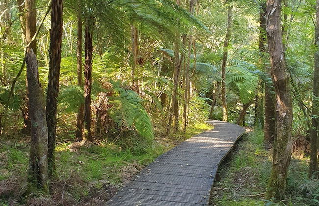 Kerikeri Park Lodge - Foto 73