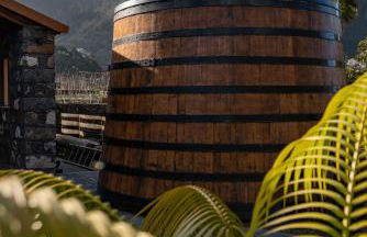 Quinta Vale Vitis - Foto 7