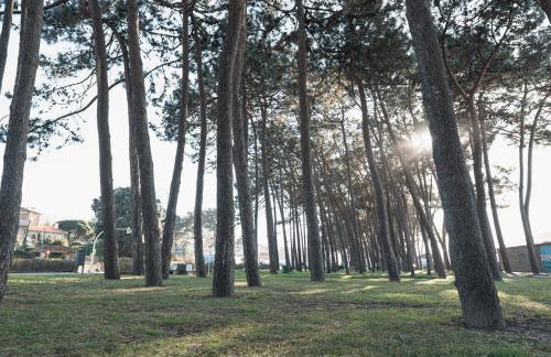 SAMIL PLAYA - Foto 17