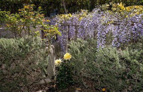 Residence Valle Fiorita - Foto 17