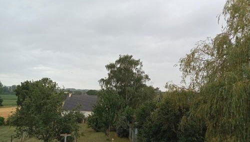 Colibri Studio - Foto 2