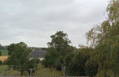 Colibri Studio - Foto 2