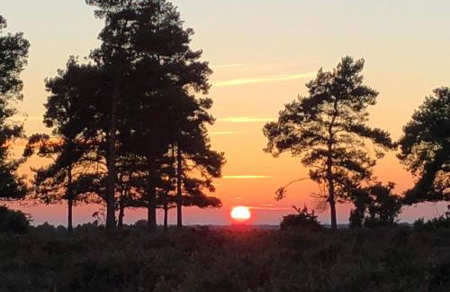 Corner Cottage - character, charm, great location. - Foto 74