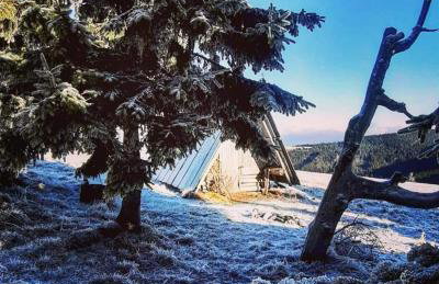 Apartamenty Pilsko Korbielów komfortowe mieszkania dla rodzin i narciarzy w Beskidach - Foto 34