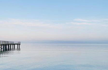 Landlebenliebe - Foto 49