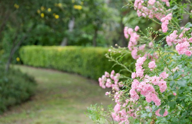 El Moli de Siurana, The Originals Relais (Relais du Silence) - Photo 80