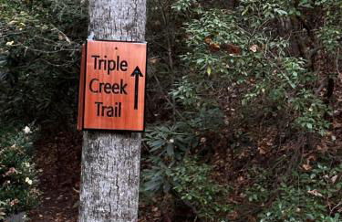 Meraki Escape - Foto 48