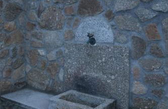 Casa Gilbuena 2 - Foto 21