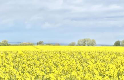 Ferienwohnung Poeler Koje - Foto 30