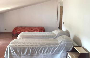 Tra gli ulivi - Foto 18