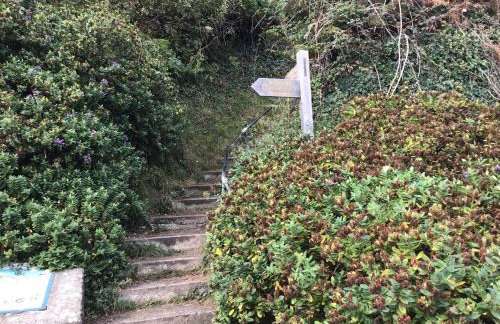 Peaceful Paradise - Photo 25