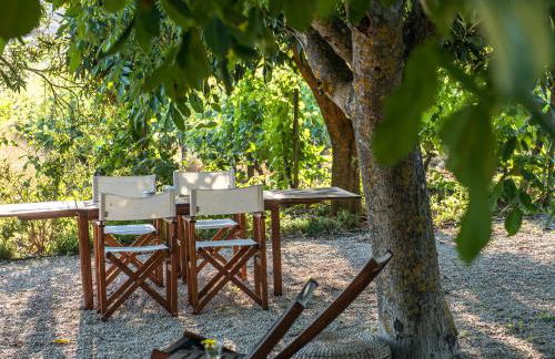 Morgadio da Calcada Douro Wine&Tourism - Photo 25