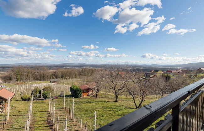 Vineyard Cottage Bahor - Foto 14