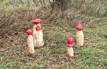 Ferienhaus Fuxbau - Foto 13