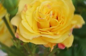 Dromore House Historic Country house - Foto 78