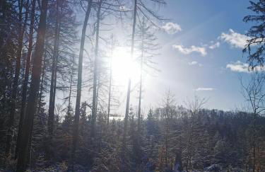 Gartenwohnung Paulsdorf - Foto 37