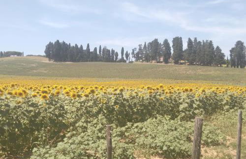 la casa di Rosa - Foto 42