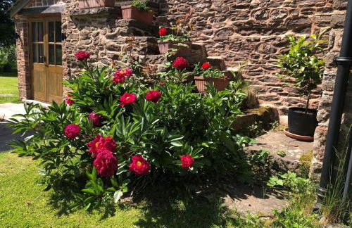 2 Bed in Chepstow oc-95046 - Foto 20