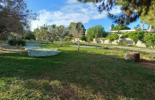 Coralia's beachfront sea view studio - Foto 6