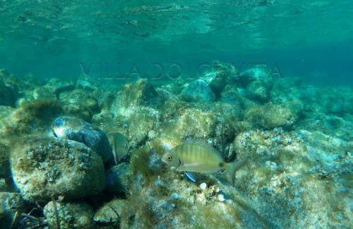 Villa Dolce Vita - Foto 42