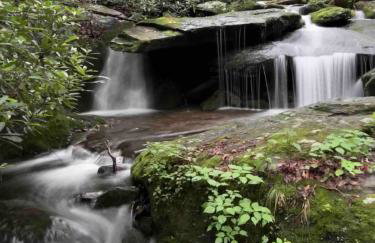 Nantahala River Luxury Escape-on the river! - Foto 14