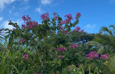 Ocean View with Pool, 4 bedroom Vila Near Key West - Foto 44