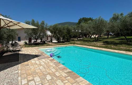 Uliveto Benedetti - Foto 7