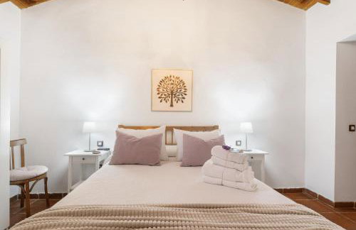 La Casita De Conchita - Photo 16