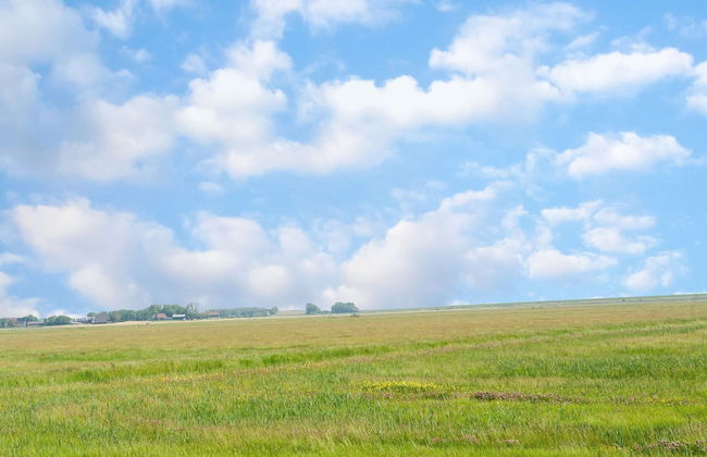 Holiday Home in Stavoren With Jetty - Foto 37