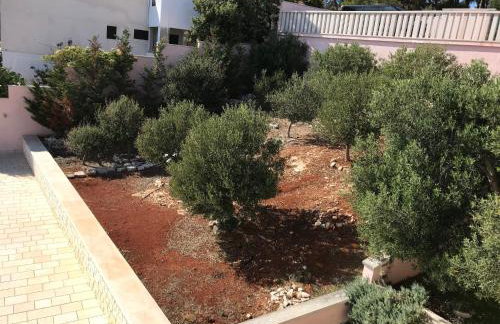 Villa Sofia Zavalatica - Foto 12