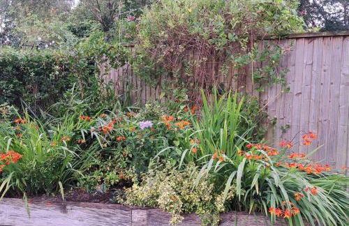 Stunning 3BD Victorian House in Bramhall Village - Photo 38