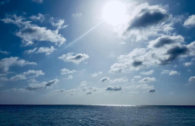 Beach Paradise by Oceanfront Condos - Foto 35