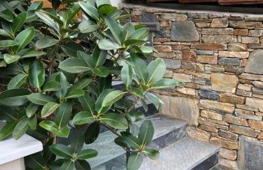 Vanessa House Luxury Apartments - Foto 17