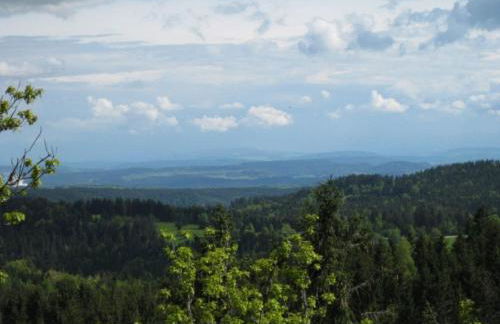 Apartment Wohnung Fübüüni by Interhome - Foto 31