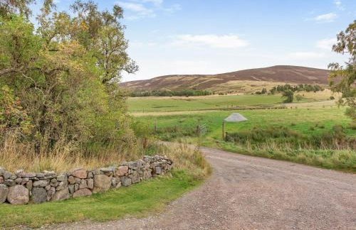 Mid Bellandy - Foto 21