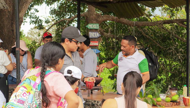 Hacienda Cacao y Mango Chocolate Tour - Foto 5