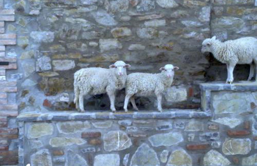 Agriturismo Le Case Rosse di Montebuono - Photo 89